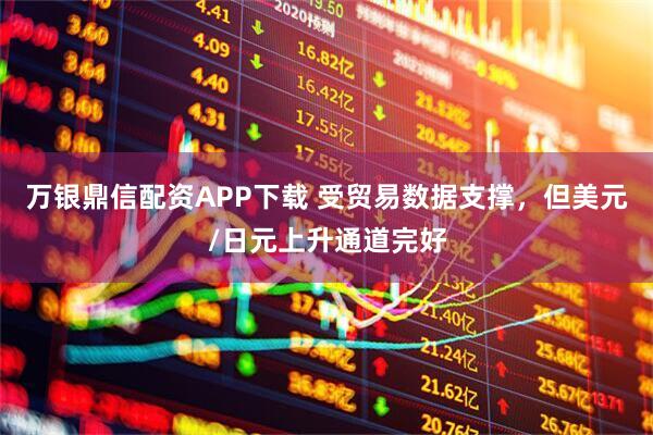 万银鼎信配资APP下载 受贸易数据支撑，但美元/日元上升通道完好